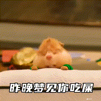 Mr.Liao?的头像-zibll子比社区