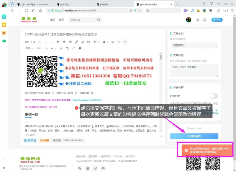 【已解决】求帮忙解决有偿，没错更新文章都显示致命错误。-zibll子比社区