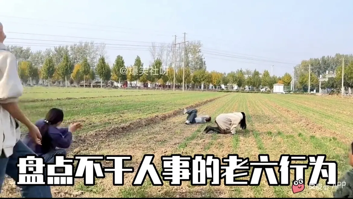 唉。你个老六，哈哈哈哈
