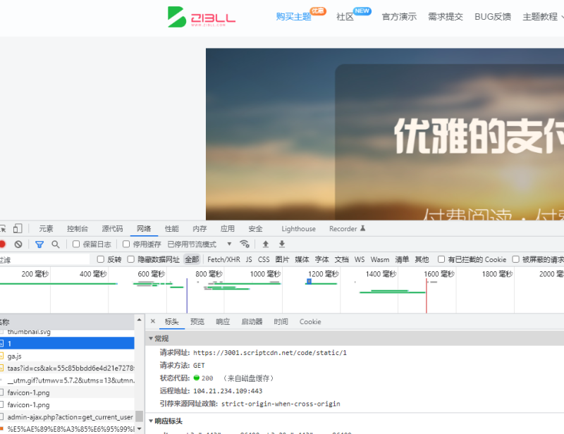 问下唐老大，网站加载的这些网址是干嘛用的-zibll子比社区