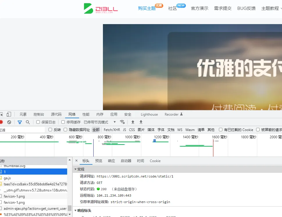 问下唐老大，网站加载的这些网址是干嘛用的-zibll子比社区