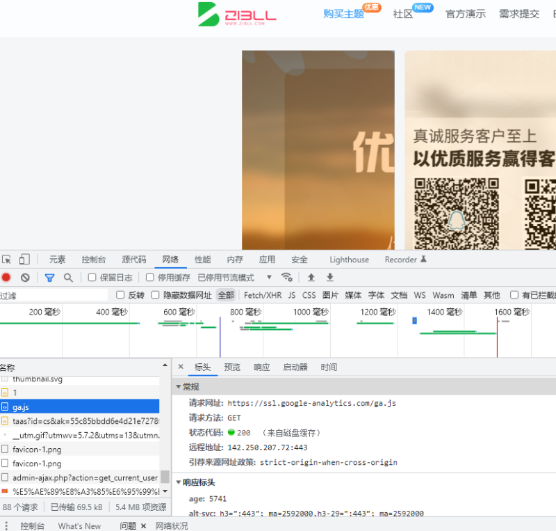 问下唐老大，网站加载的这些网址是干嘛用的-zibll子比社区