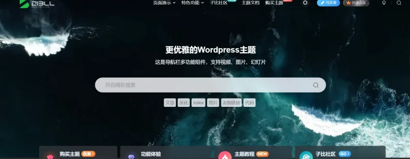 这搜索框怎么启用的，没找到教程的-zibll子比社区