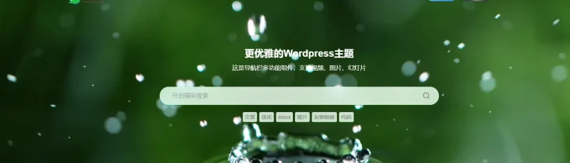 这个上面的文字怎么大小设置？-zibll子比社区