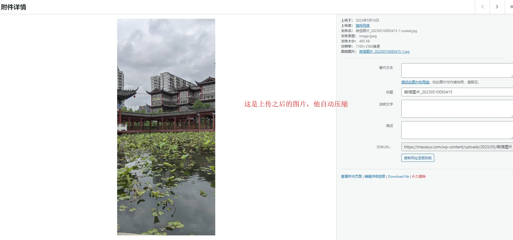 压缩