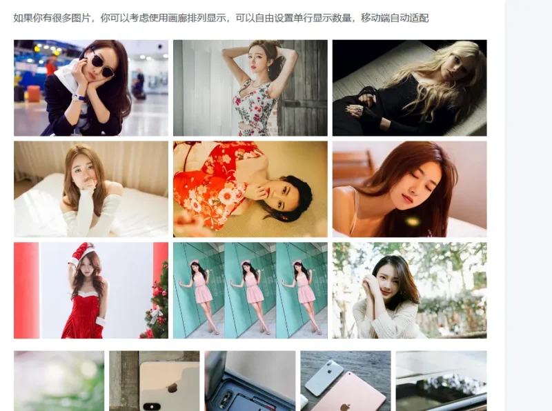 图片站很多张图片，这种一排并列几张图片，是怎么设置的呀-zibll子比社区