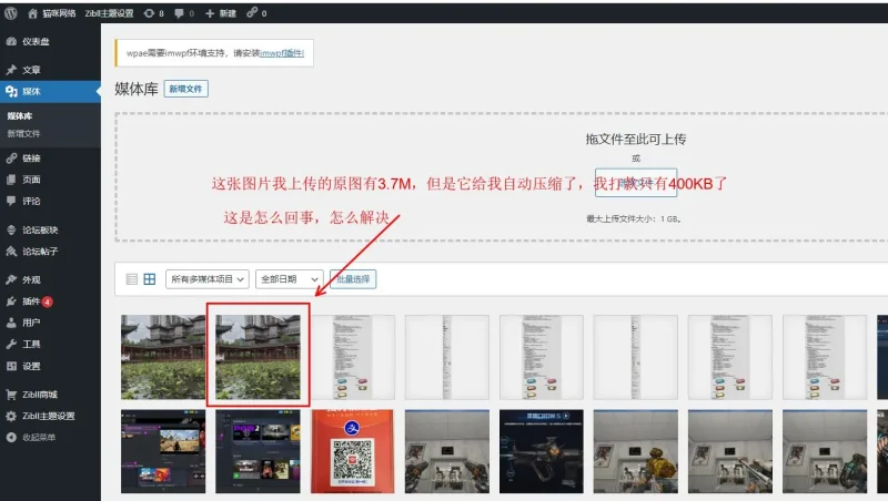 【求助】我上传的图片它老是给我压缩了-zibll子比社区