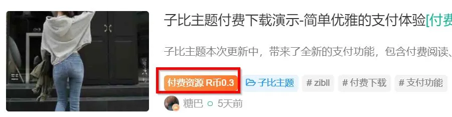 关于文章付费资源的这几个字如何修改？-zibll子比社区