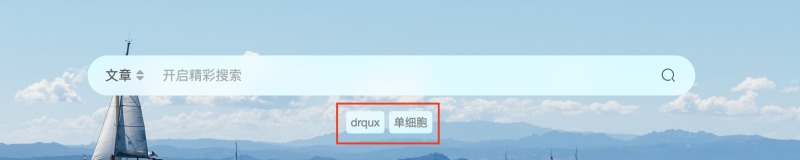首页的热门搜索关键词怎么隐藏？-zibll子比社区