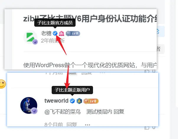 身份认证如何做到可以显示不同认证身份的呢？-zibll子比社区