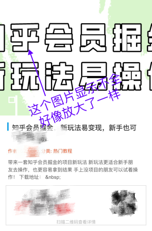 海报分享时的图片长宽比例问题-zibll子比社区