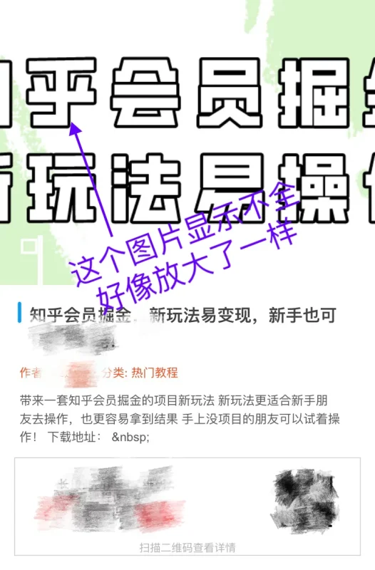 海报分享时的图片长宽比例问题-zibll子比社区