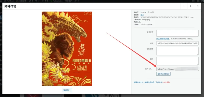 WordPress导入外链图片到媒体库-zibll子比社区