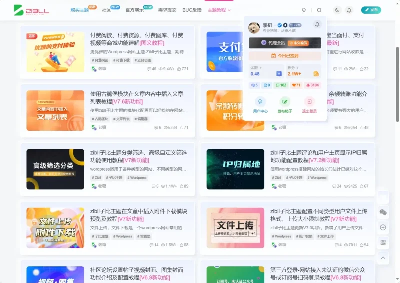 子比主题拟态CSS-zibll子比社区