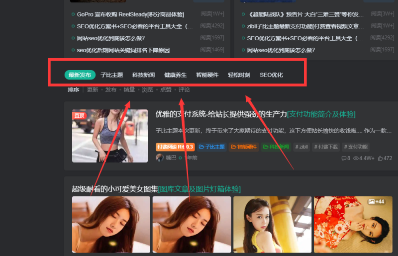 【求助】分类栏目怎么添加？找了半天没找到在哪添加-zibll子比社区