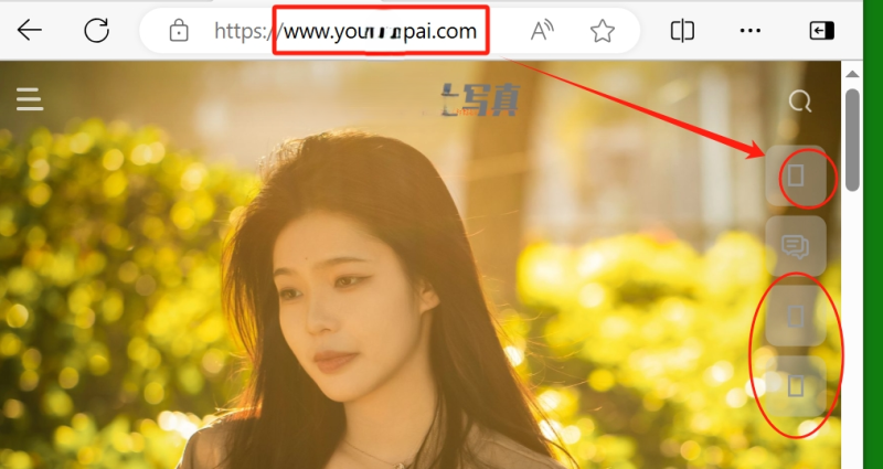 求助加www和不加www的域名出现图标显示不出的问题-zibll子比社区
