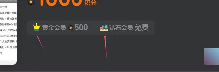想问问文章页面vip图标在哪里修改-zibll子比社区