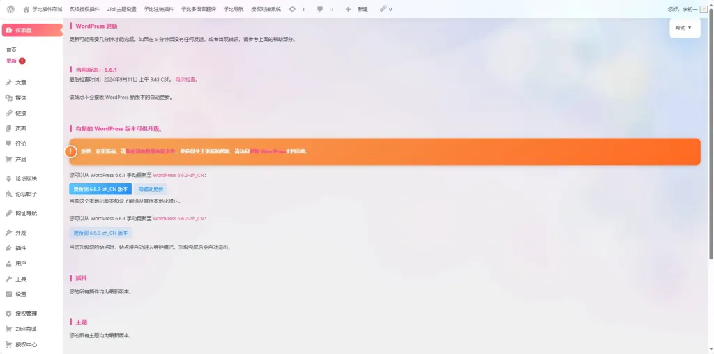 20240911095840864-image-52