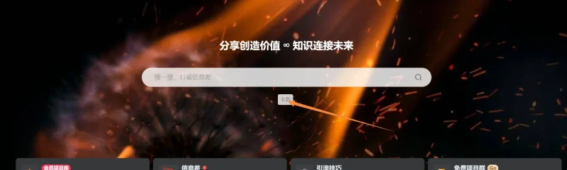 这个搜索框下面的是啥呀,我后台找了半天也关不掉-zibll子比社区