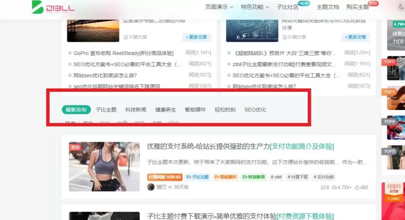 请问大家这个功能在哪里添加？-zibll子比社区