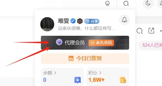 开了会员,就进不到会员页面和积分兑换会员了,有解决方案吗-zibll子比社区