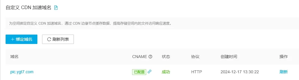 20241226002709831-自定义cdn