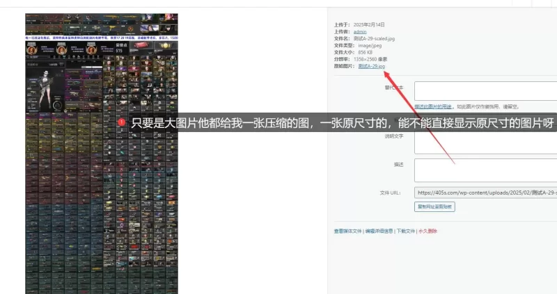 能不能不压缩我图片，直接显示原图片。-zibll子比社区