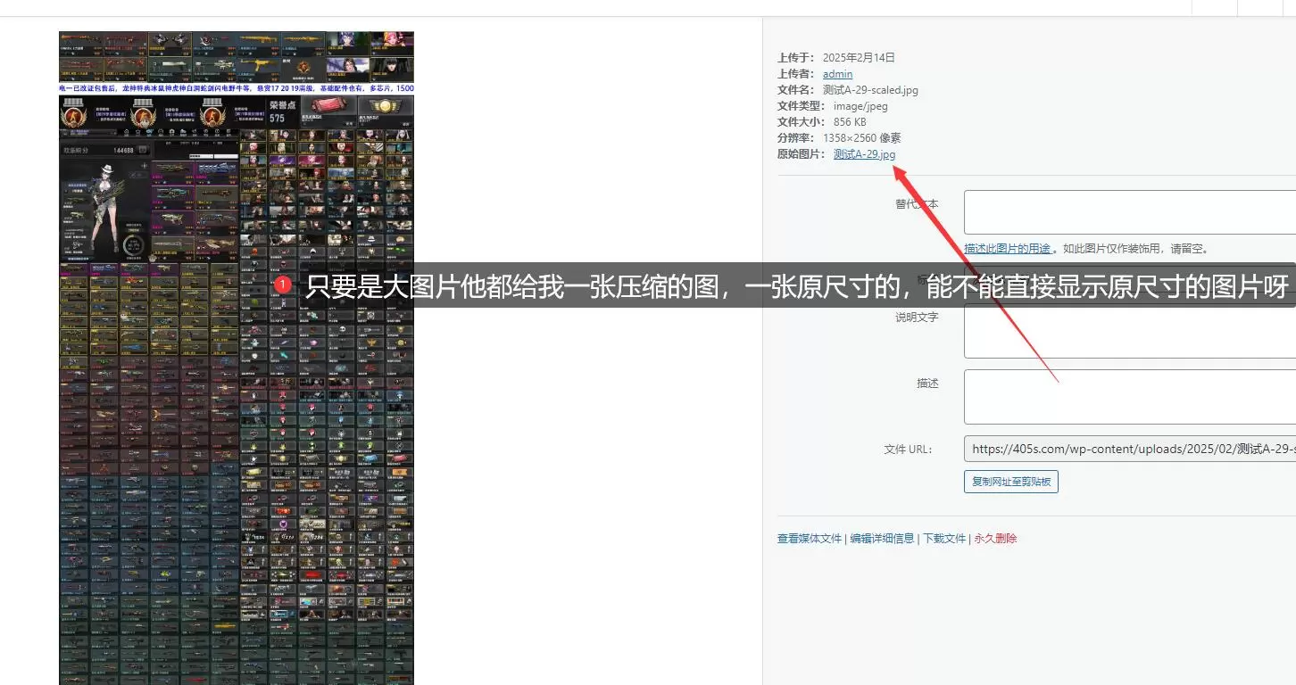20250214211904961-原尺寸