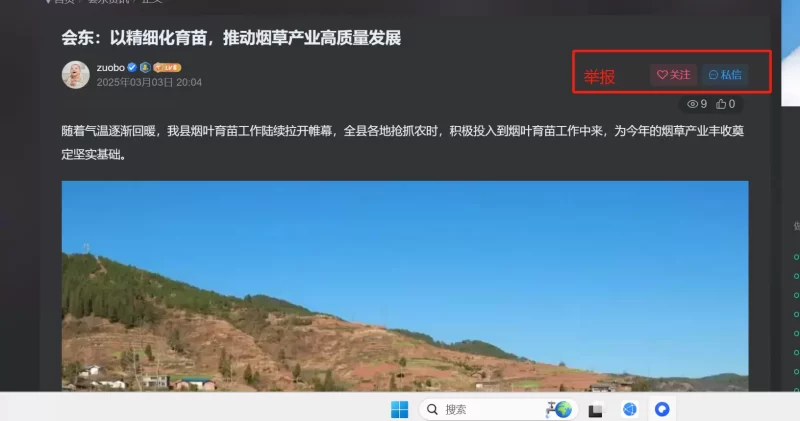子比用户功能里的举报功能不能显示在资讯文章页面吗？-zibll子比社区