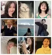 小火柴的头像-zibll子比社区