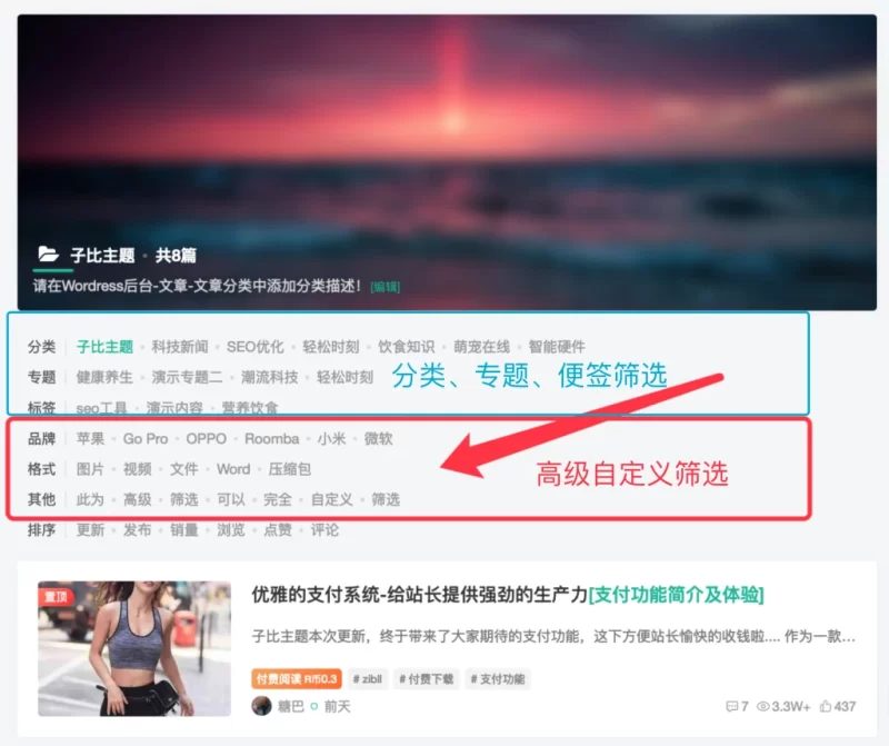高级自定义分类筛选怎么在特定分类中显示？-zibll子比社区