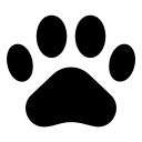 昕宇的头像-zibll子比社区