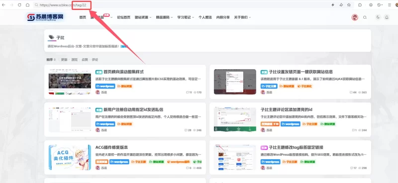 子比主题修改tag标签固定链接【更新】-zibll子比社区
