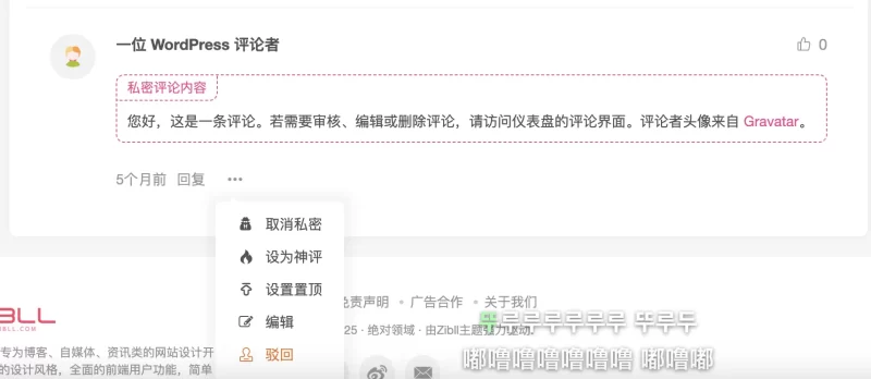 子比主题增加私密评论-zibll子比社区