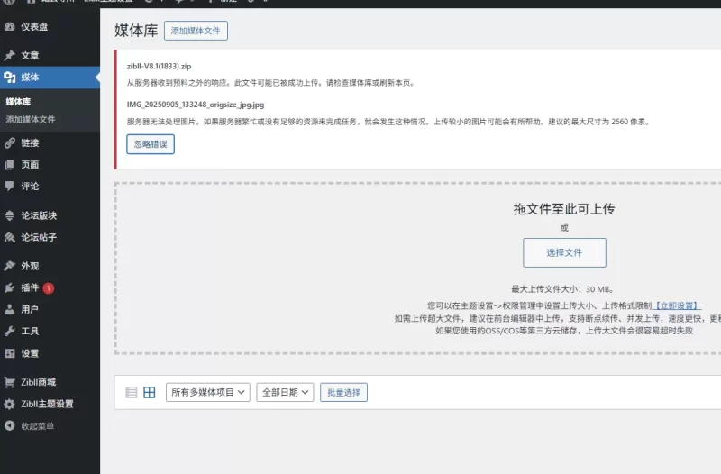 求助：后台媒体库无法上传文件-zibll子比社区