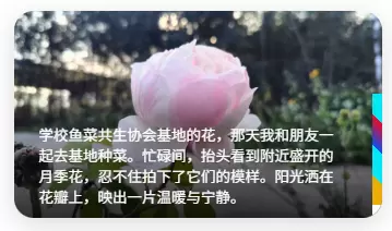 20251012231803231-Photo-Album-for-Zibll照片描述-1
