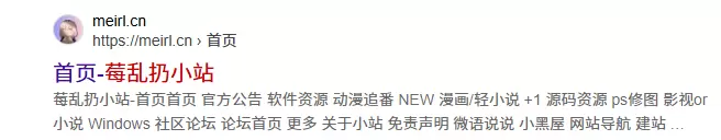 大佬求解！为什么搜索引擎点击首页进去是空白的-zibll子比社区