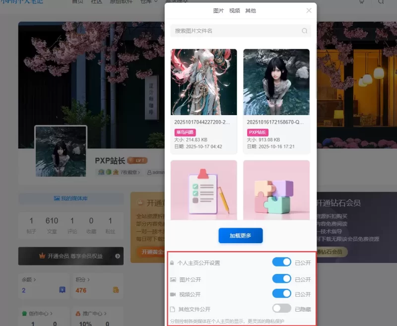 子比主题用户媒体管理插件 - 优化升级版-zibll子比社区