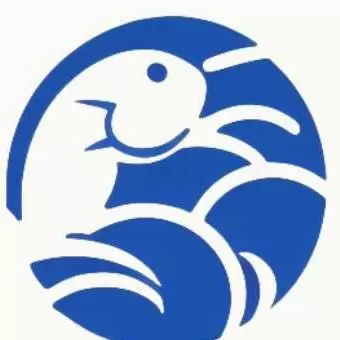 鱼见海科技www.bwxt88.com的头像-zibll子比社区
