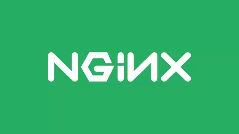 NGINX 漏洞{搬砖}-zibll子比社区