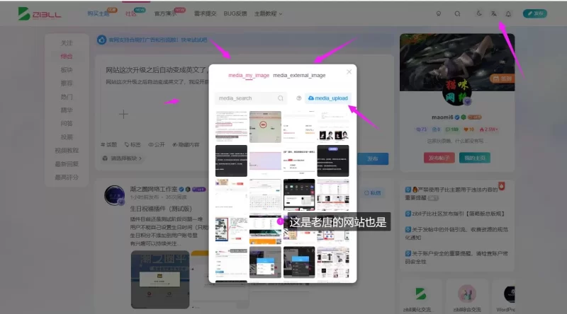网站这次升级之后自动变成英文了，老唐网站也是上传的时候也是英文.-zibll子比社区