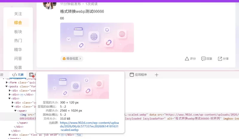 图片自动转 WebP 插件|上传即转,一键压缩图片提速网站-zibll子比社区