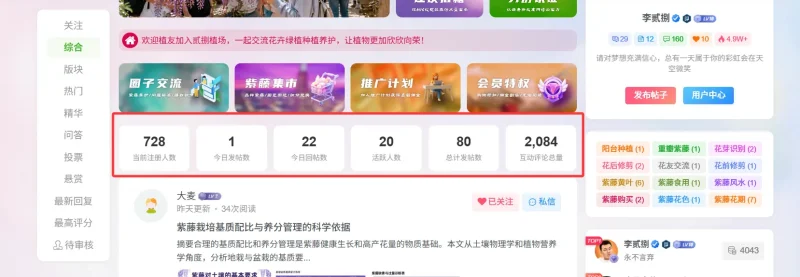 站点数据统计小工具，需要的可以自取-zibll子比社区