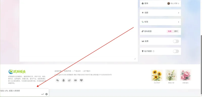求助，发帖页面左下角多了一个搜索框，怎么检查原因？-zibll子比社区