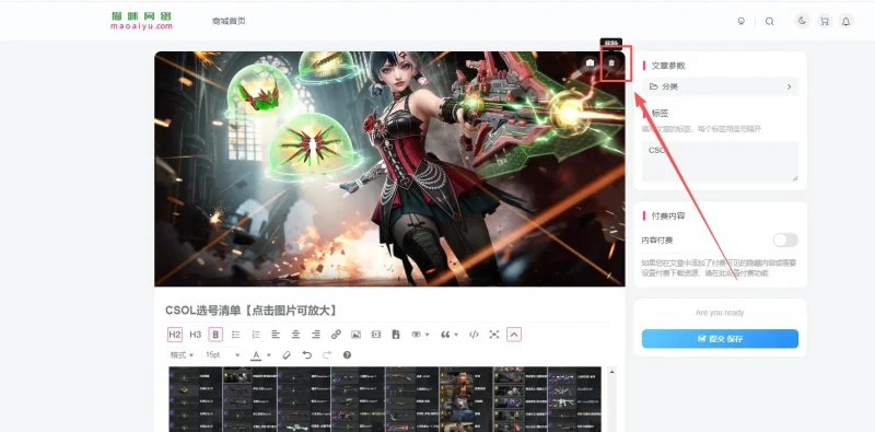 【BUG反馈】这个封页我删除了，后面还有、-zibll子比社区